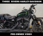 2018 Harley-Davidson® Iron 883™ Hard Candy Chameleon Flake