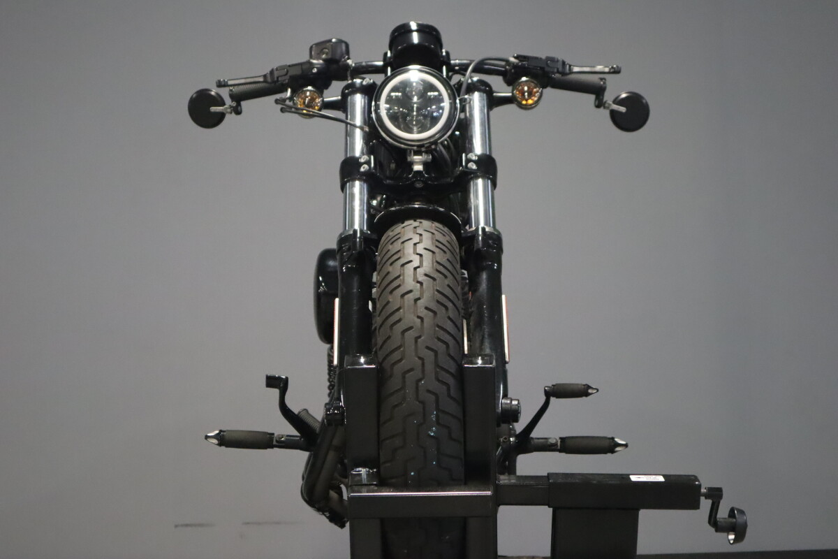 2016 Harley-Davidson Forty-Eight XL 1200X - Photo 3