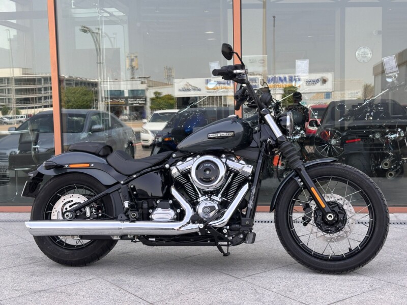 2025 Harley-Davidson® Street Bob™ Iron Horse Metallic w/Laced Wheels