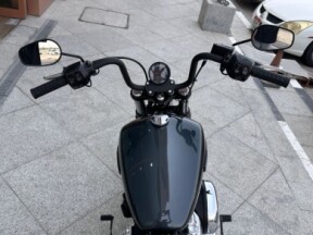 2025 Harley-Davidson® Street Bob™ Iron Horse Metallic w/Laced Wheels thumb 2