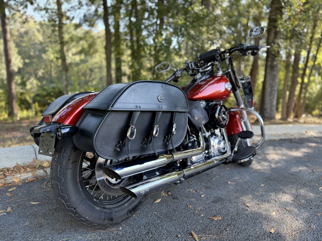 FLS 2014 Softail Slim - Photo 5