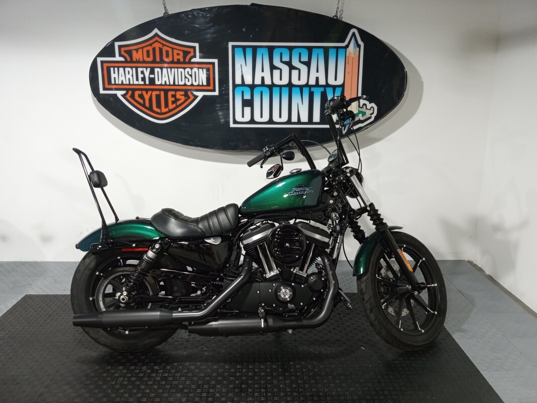 2021 Harley-Davidson Iron 883 - Snake Venom