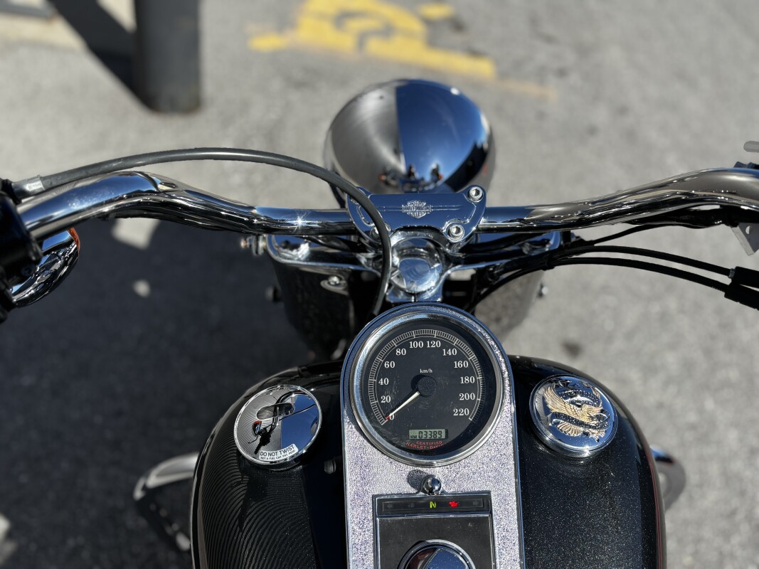 2005 Harley-Davidson Fat Boy Black Pearl - Photo 7