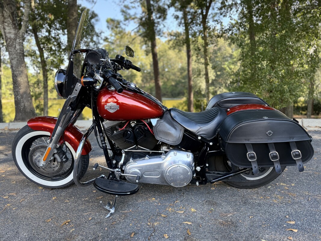 FLS 2014 Softail Slim - Photo 9