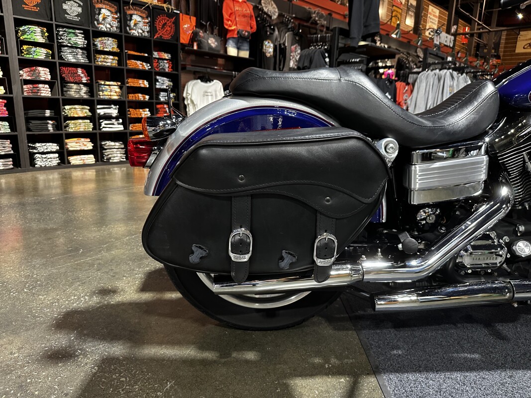 Harley-Davidson Low Rider 2006 FXDLI COBALT\SILVER - Photo 6