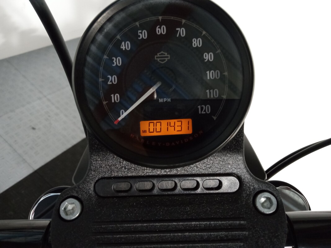 2021 Harley-Davidson Iron 883 - Snake Venom - Photo 5