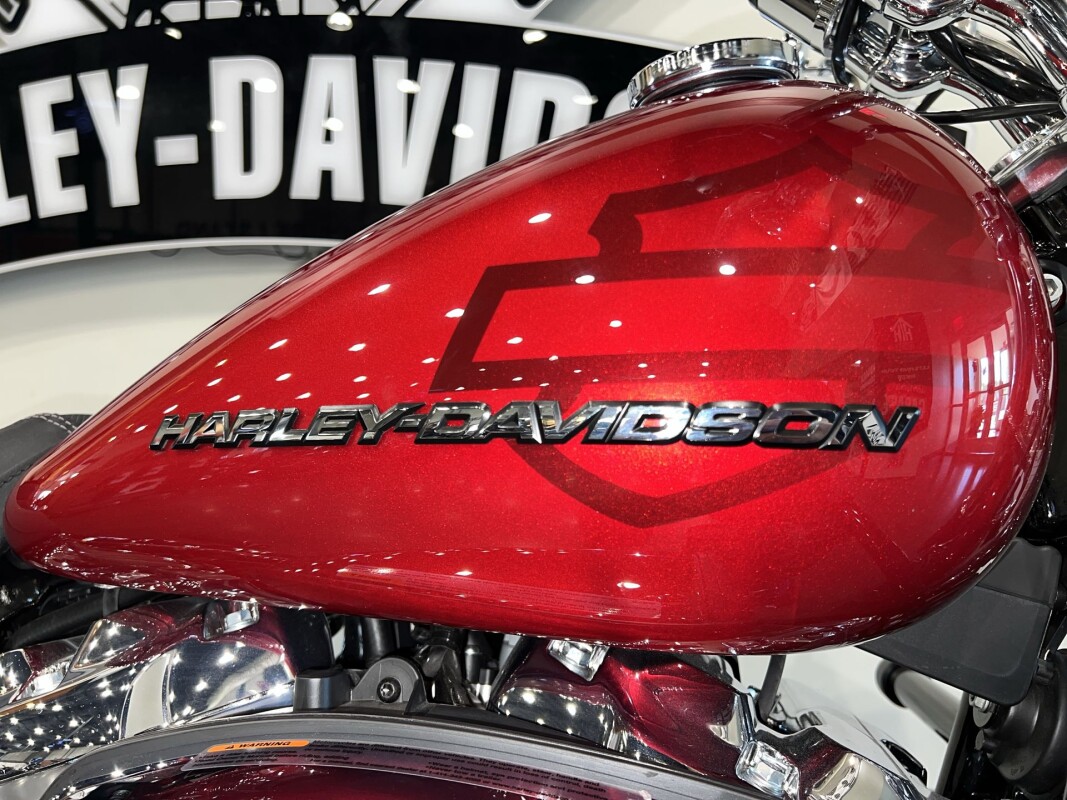 2025 Harley-Davidson Breakout FXBR - Photo 5