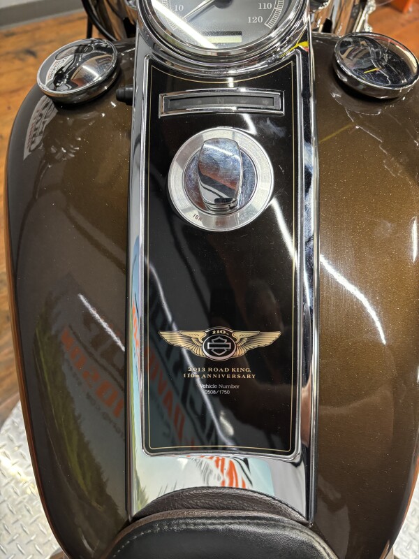 2013 Harley-Davidson Road King BRONZE/ANN BLK W/ PINSTRIPE - Photo 10