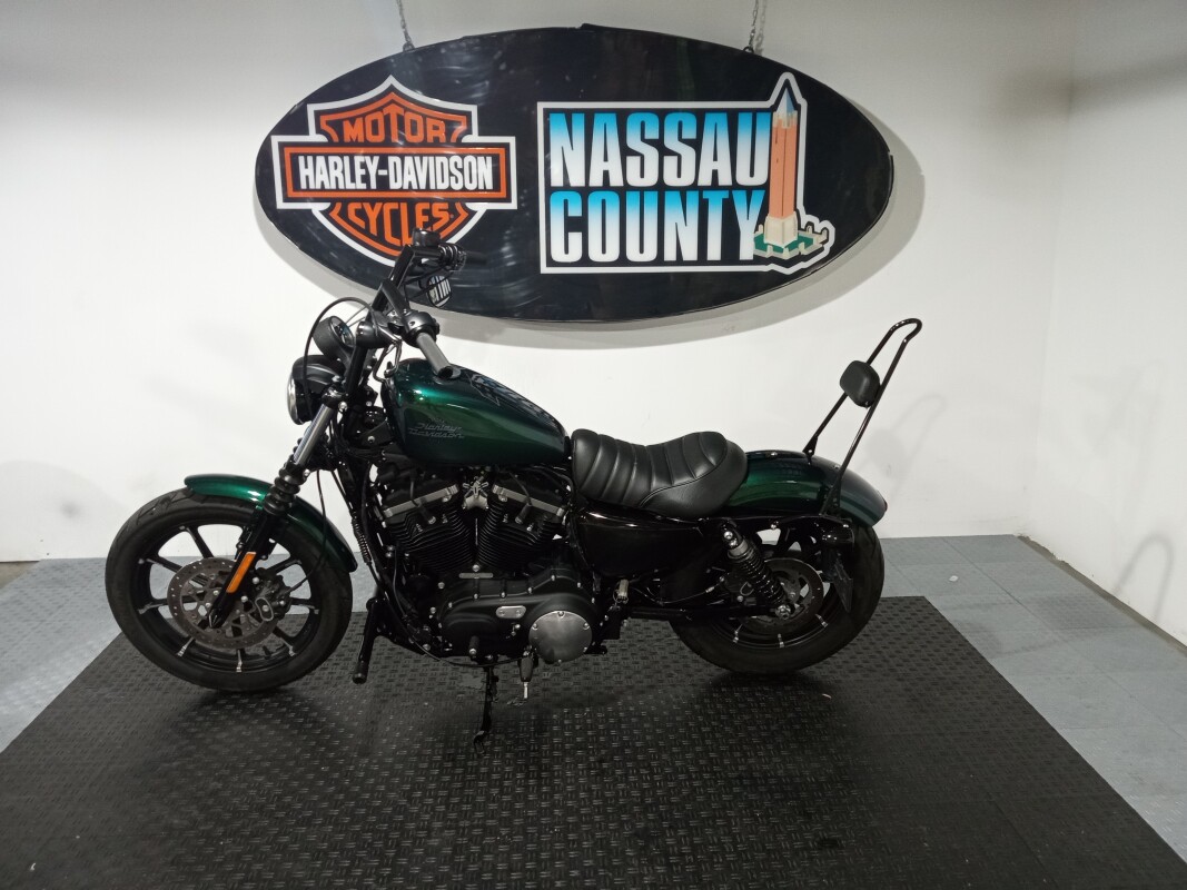 2021 Harley-Davidson Iron 883 - Snake Venom - Photo 3