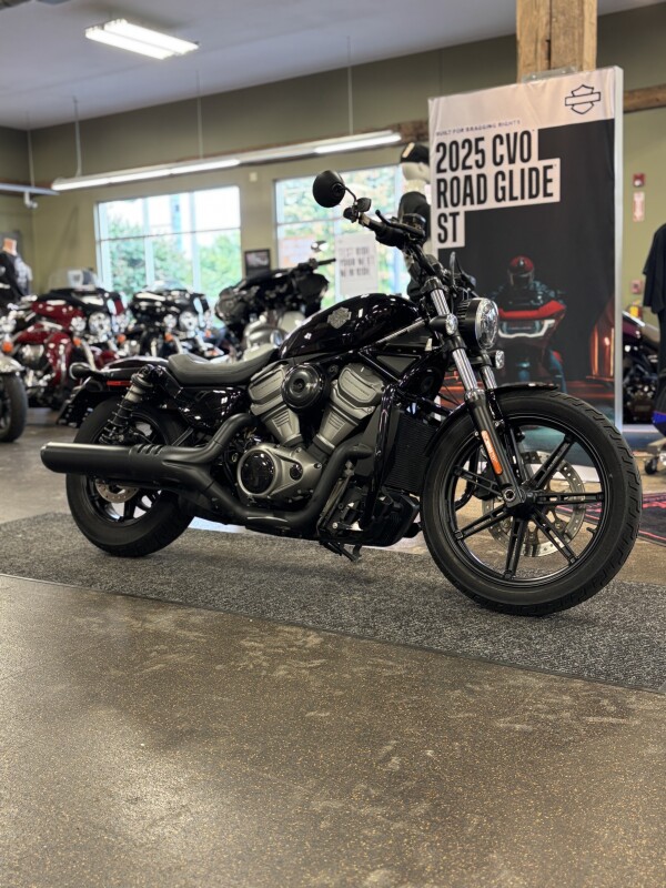 Harley-Davidson Nightster 2023 RH975 BLACK