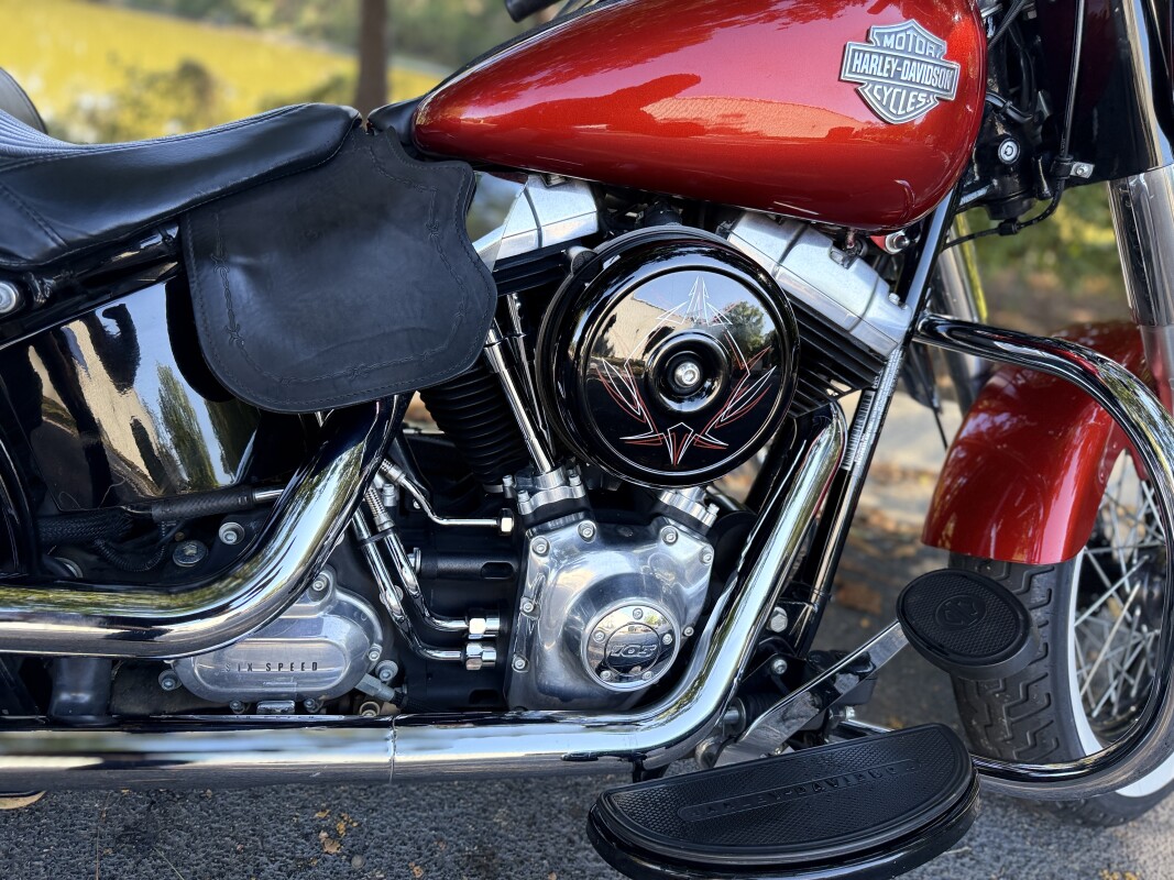 FLS 2014 Softail Slim - Photo 7