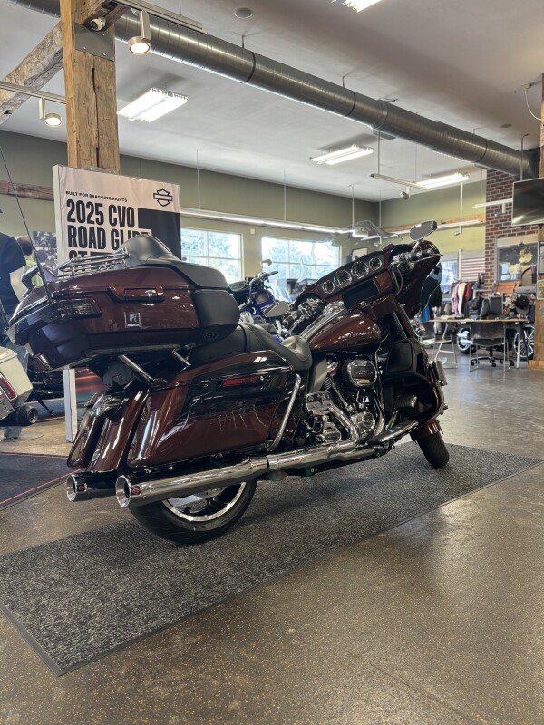 Harley-Davidson CVO Limited 2019 FLHTKSE BROWN/BLACK - Photo 2