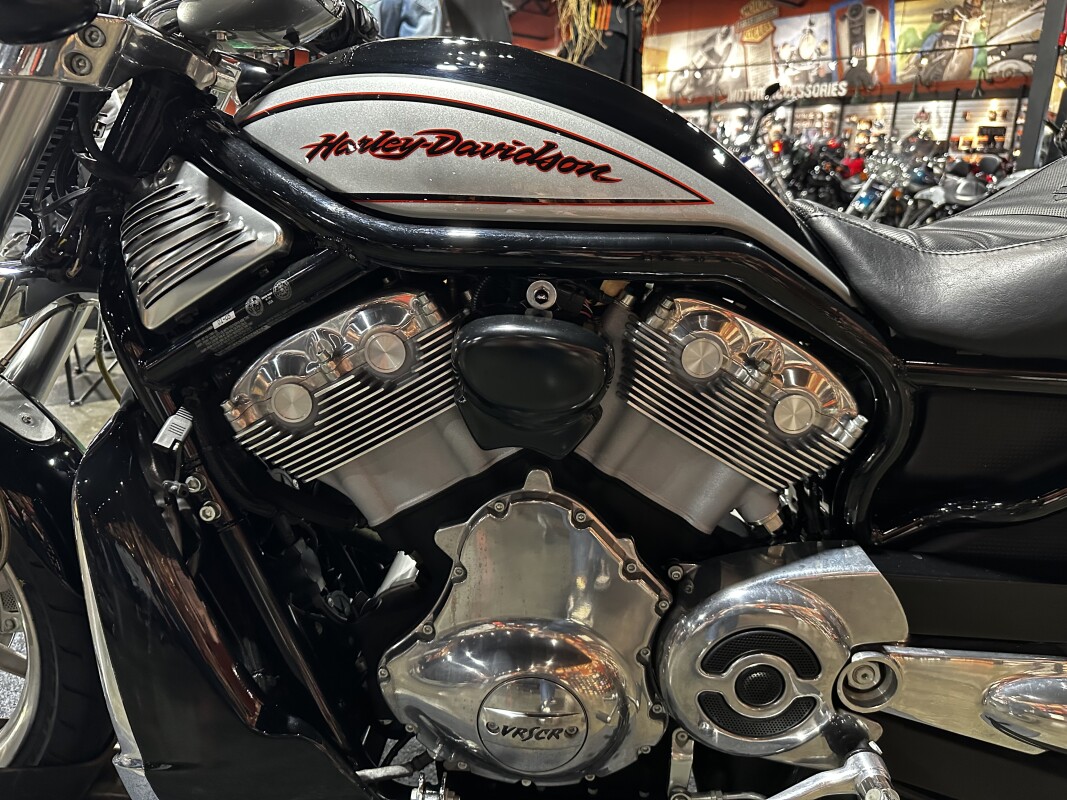 Harley-Davidson Street Rod 2006 VRSCR BLACK W/PINSTRIPE - Photo 10