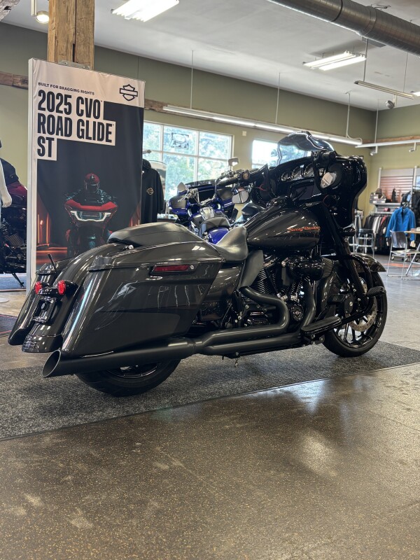 Harley-Davidson Street Glide Special 2019 FLHXS SLVFLUX/BLKFUSE W/PINSTRIPE - Photo 2