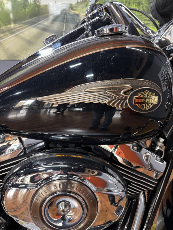 2013 Harley-Davidson Road King BRONZE/ANN BLK W/ PINSTRIPE - Photo 2