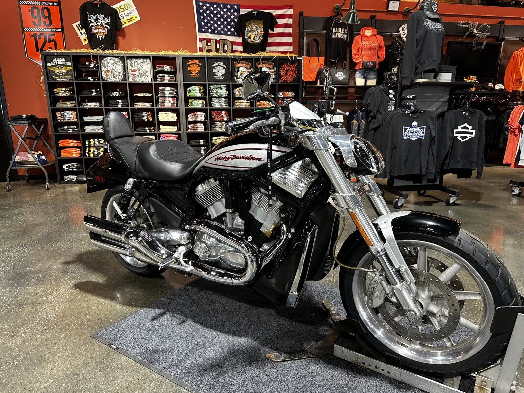 Harley-Davidson Street Rod 2006 VRSCR BLACK W/PINSTRIPE