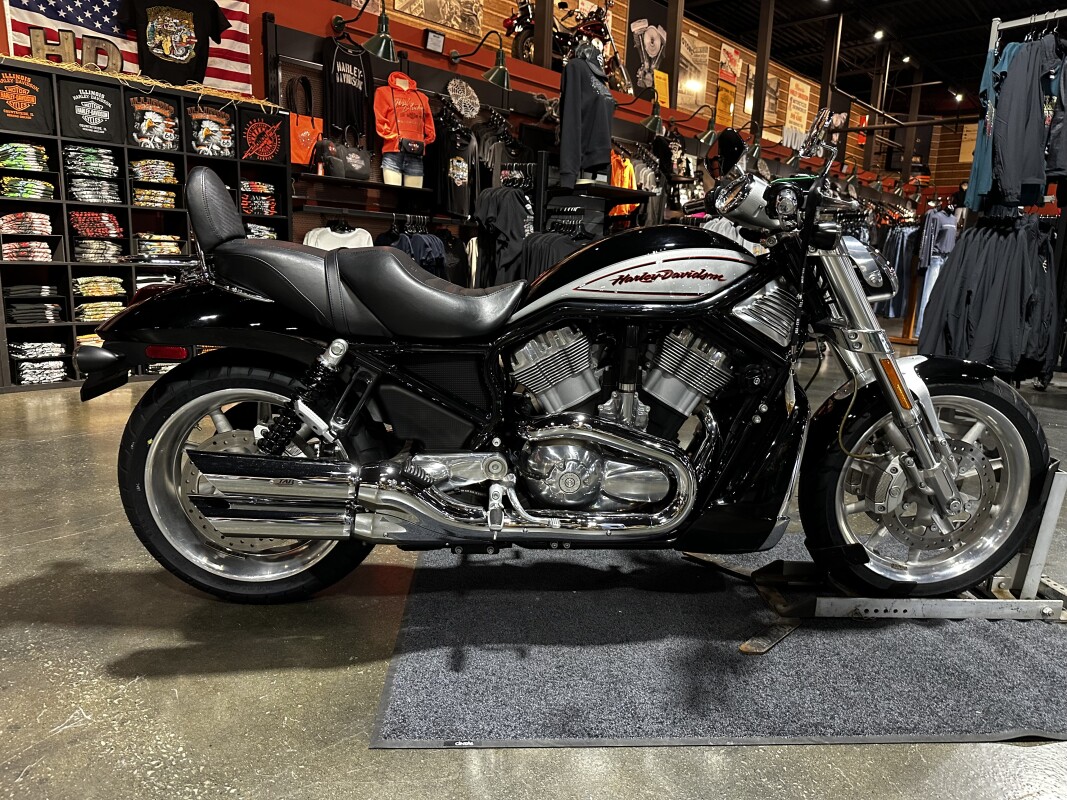 Harley-Davidson Street Rod 2006 VRSCR BLACK W/PINSTRIPE - Photo 5