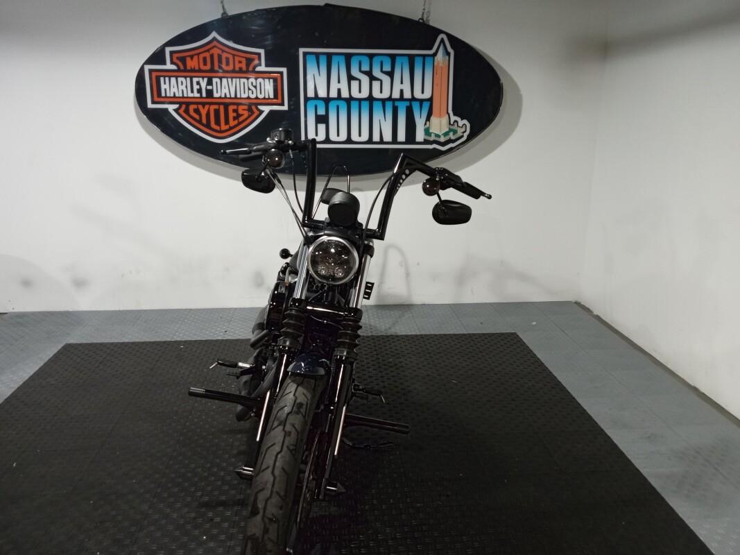 2021 Harley-Davidson Iron 883 - Snake Venom - Photo 2