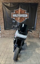 2025 Harley-Davidson® Pan America RA1250ST Billiard Gray thumb 2