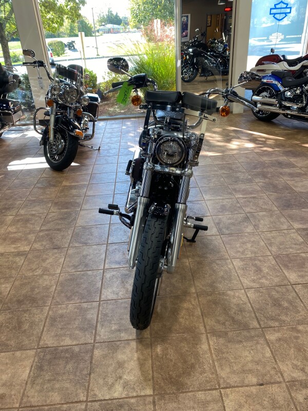 2021 Harley-Davidson Softail Standard - Photo 3