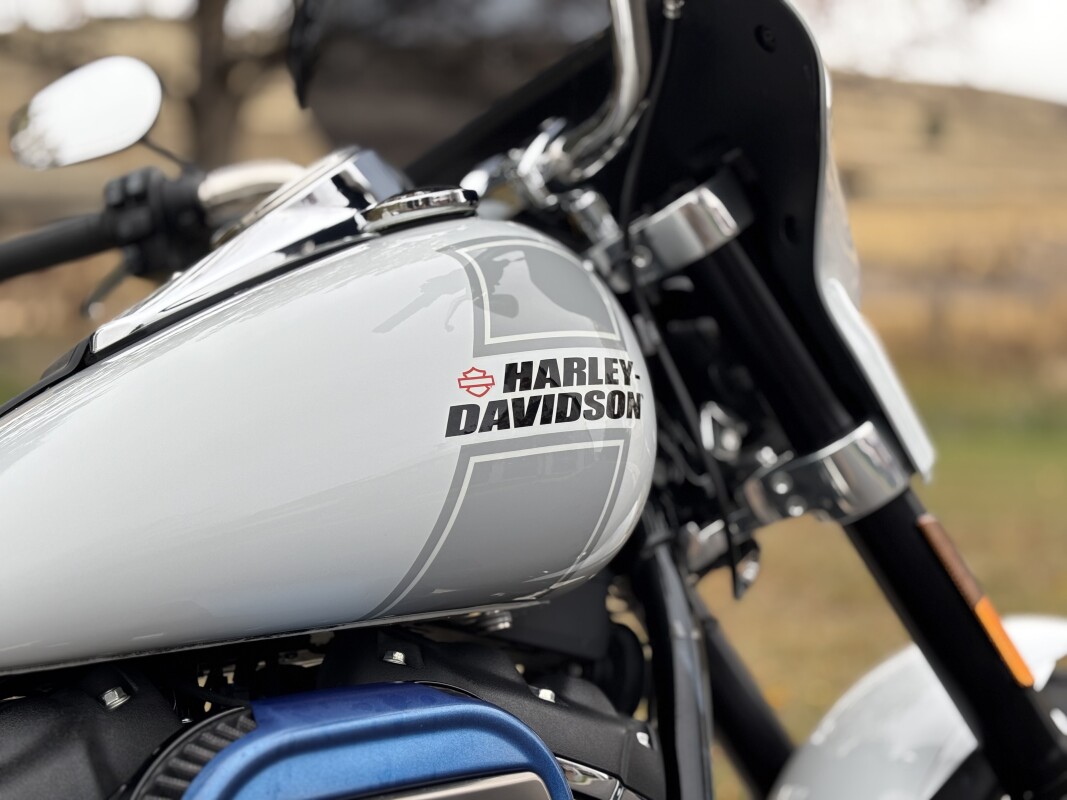2021 Harley-Davidson Sport Glide Stone Washed White Pearl - Photo 10