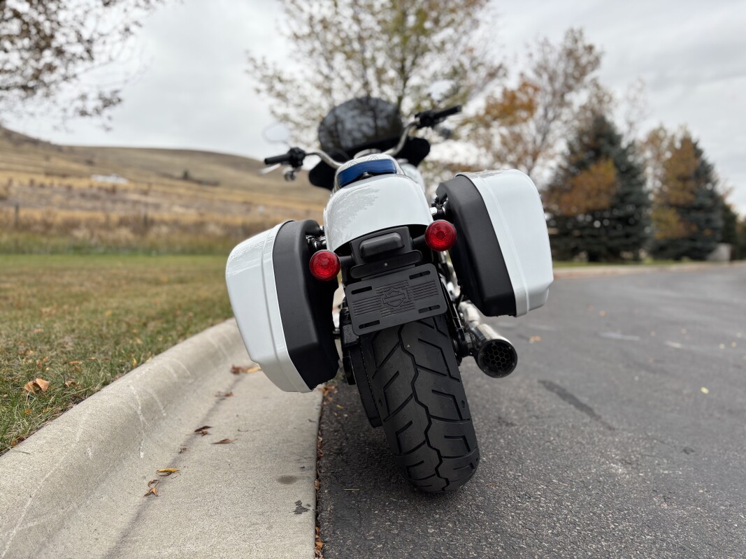 2021 Harley-Davidson Sport Glide Stone Washed White Pearl - Photo 8