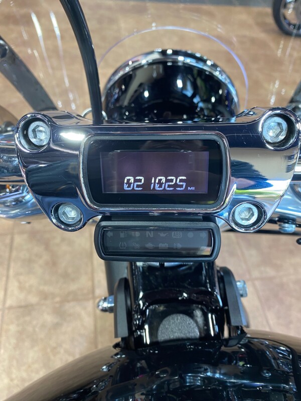 2021 Harley-Davidson Softail Standard - Photo 5