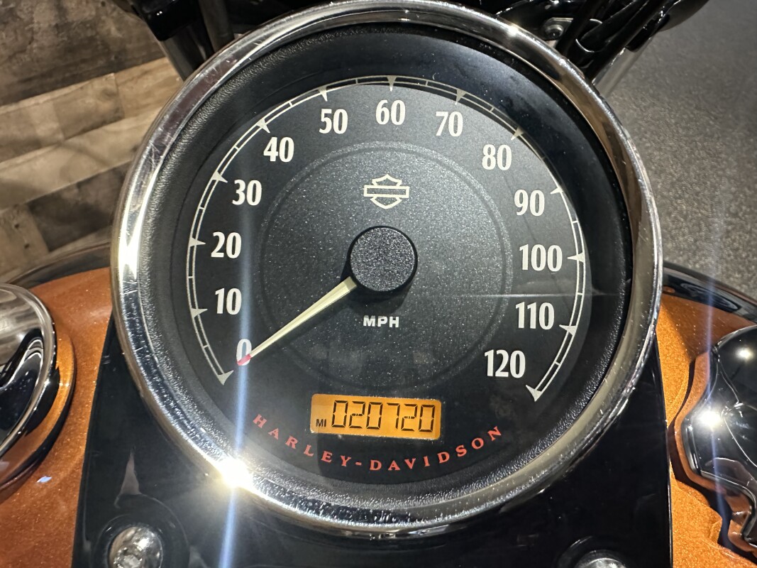 2014 Harley-Davidson Fat Bob Amber Whiskey FXDF - Photo 10