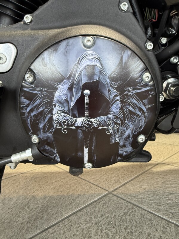 XL 1200X 2022 Forty-Eight - Photo 10