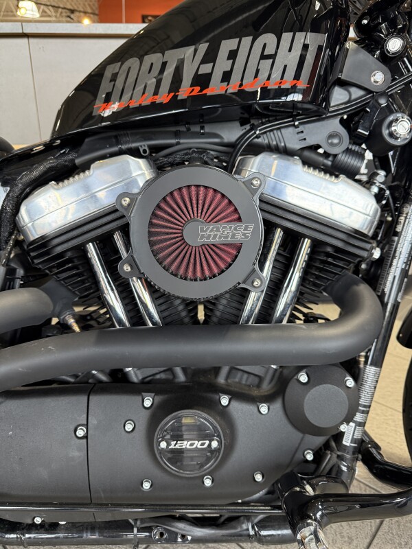 XL 1200X 2022 Forty-Eight - Photo 4