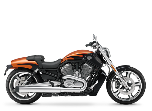 V-Rod Muscle
