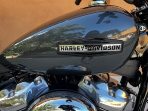 FXBB 2025 Street Bob® thumb 3