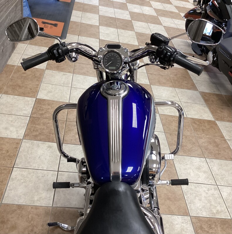 2006 Harley-Davidson Sportster 1200 Low Silver - Photo 4