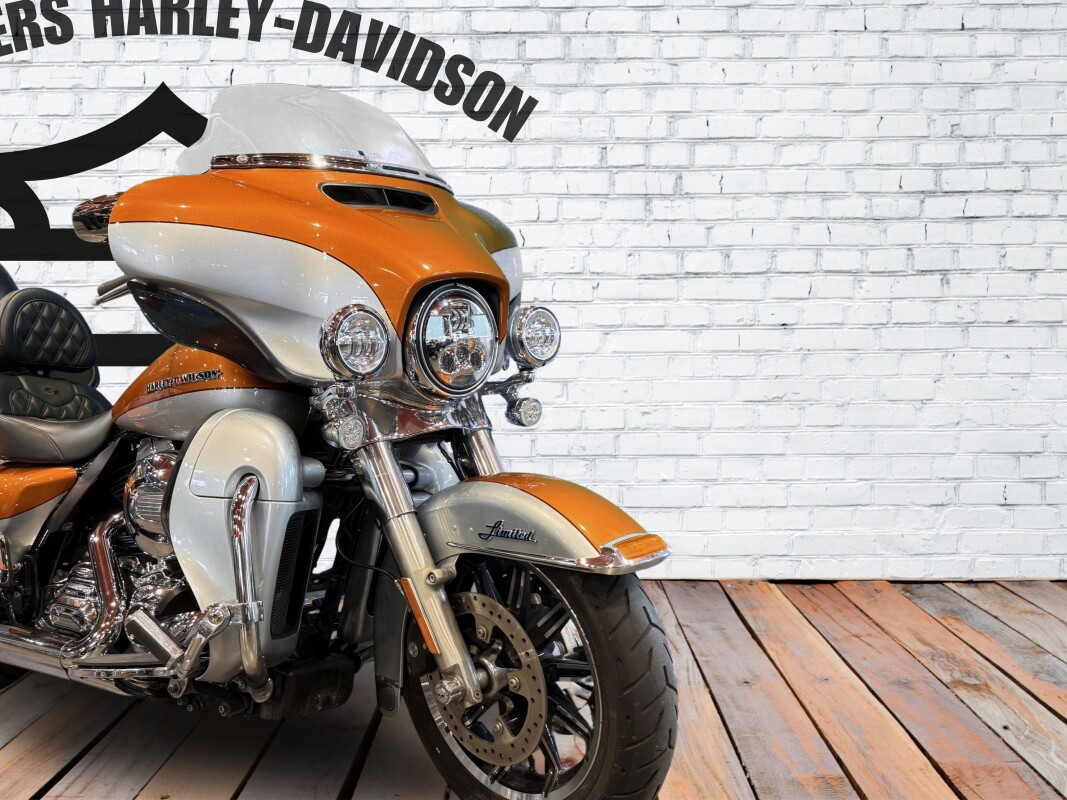 2014 Harley-Davidson Electra Glide Ultra Limited Two-Tone Amber Whiskey/Brilliant Silver - Photo 3