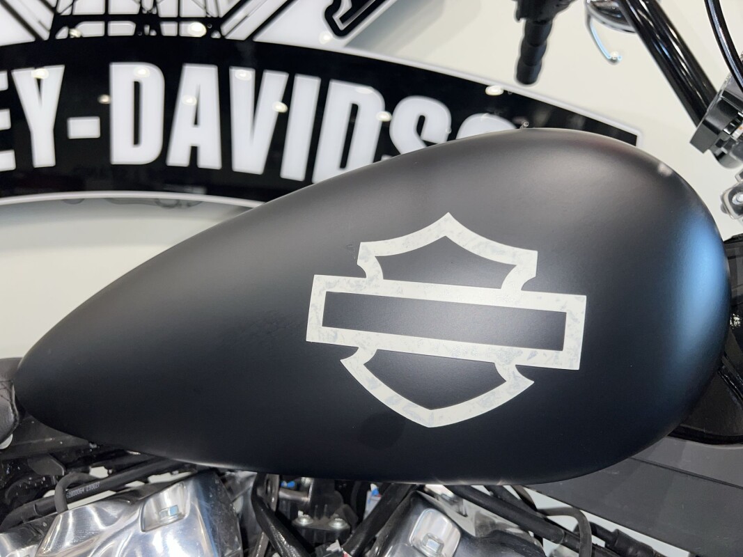 2024 Harley-Davidson Softail Standard FXST - Photo 5