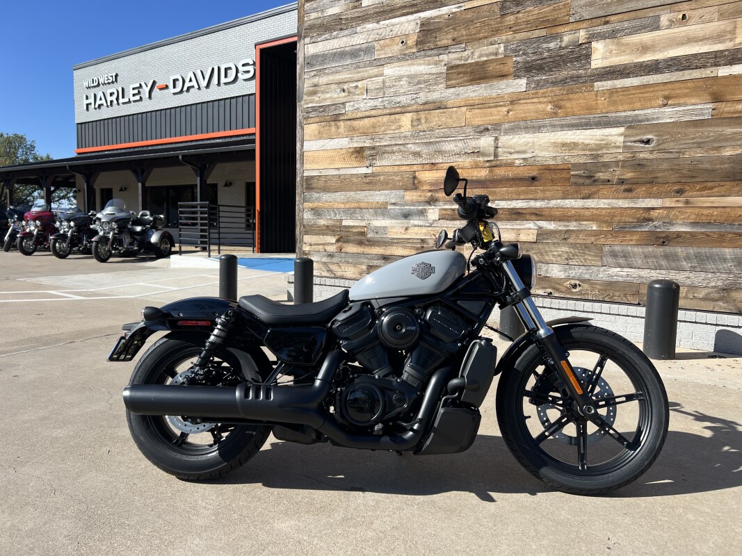 2025 Harley-Davidson Nightster Billiard Gray