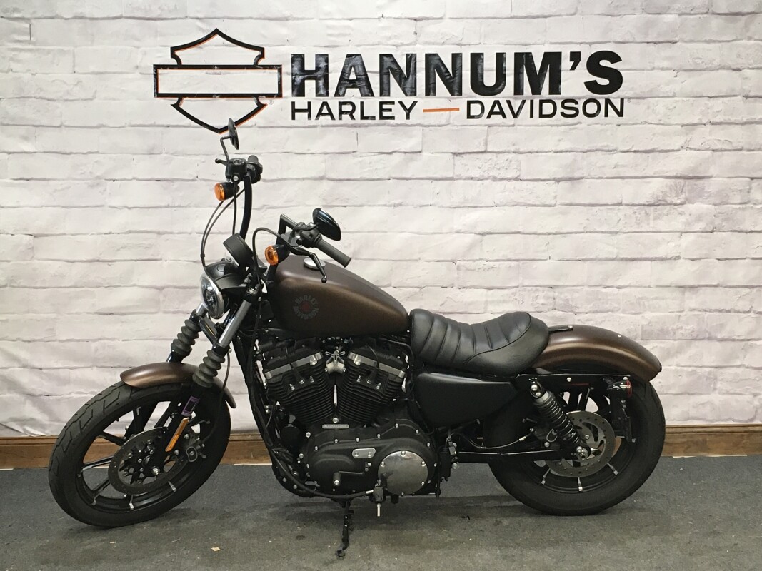 2019 Harley-Davidson Iron 883 Rawhide Denim XL883N - Photo 6