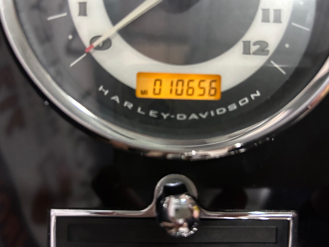 2009 H-D FLSTN Softail Deluxe 96ci - Photo 5
