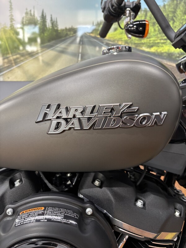 2019 Harley-Davidson Street Bob INDSTRL GRY DNM W/PINSTRIPE - Photo 6