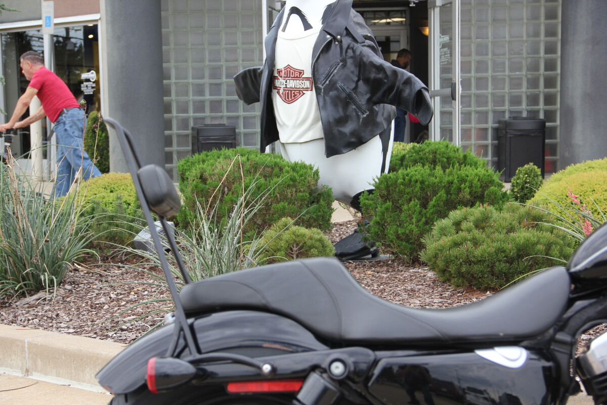 2009 Harley-Davidson Nightster Black - Photo 10