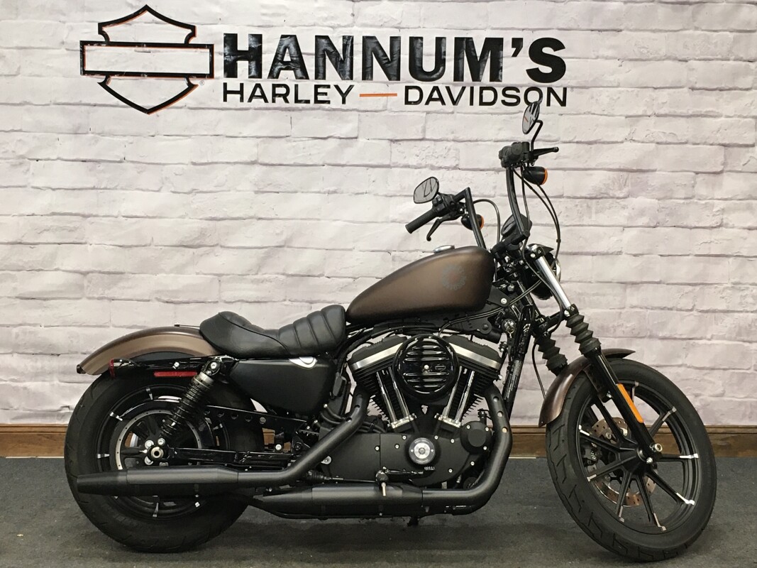 2019 Harley-Davidson Iron 883 Rawhide Denim XL883N