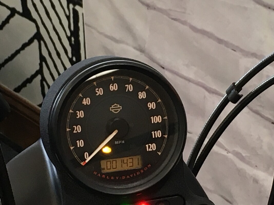 2019 Harley-Davidson Iron 883 Rawhide Denim XL883N - Photo 5