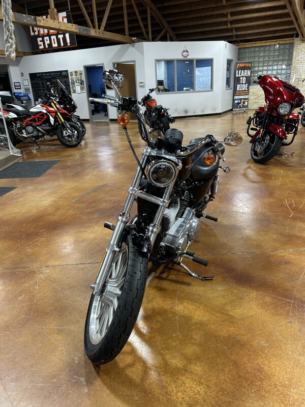 HD XLH 883 L 2006 BLACK - Photo 3