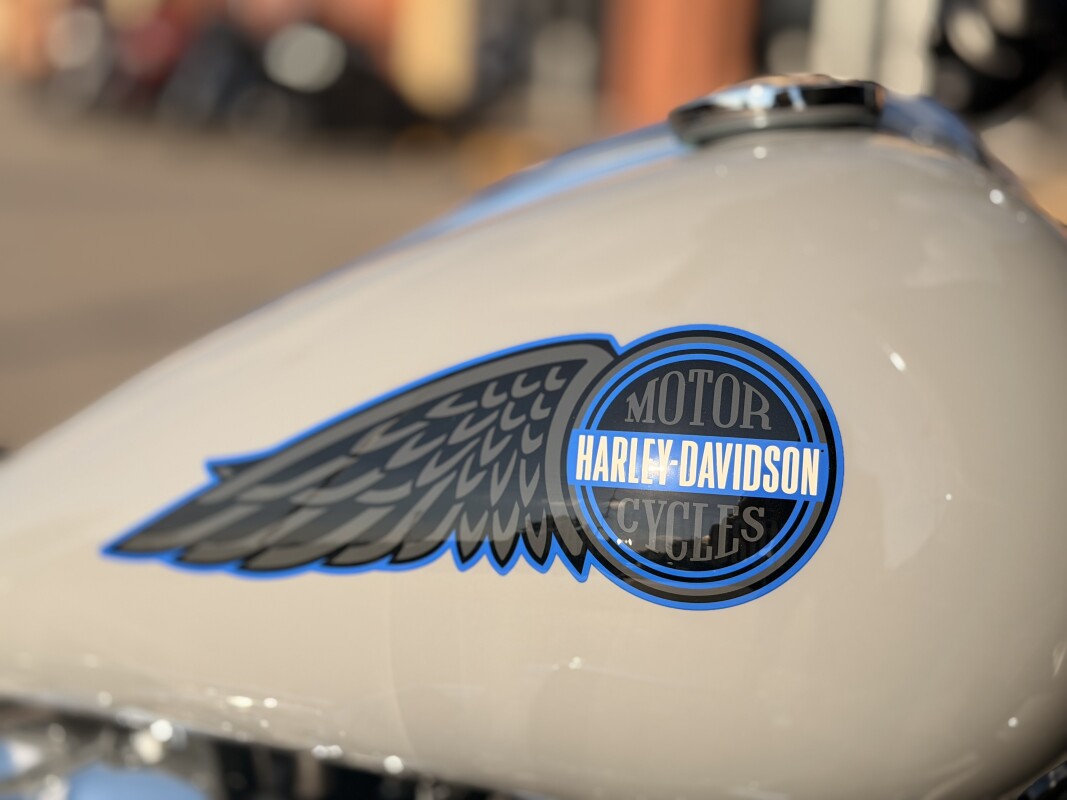 2025 Harley-Davidson Low Rider ST FXLRST Billiard Gray - Photo 9