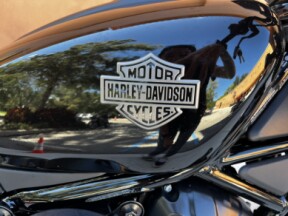 RH975 2025 Nightster™ thumb 3