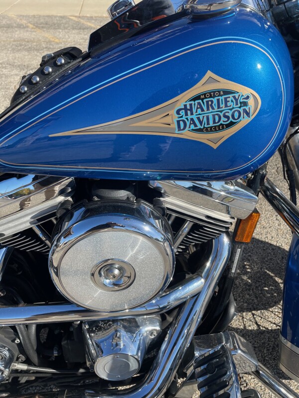 HD FLSTC 1996 BLUE - Photo 8