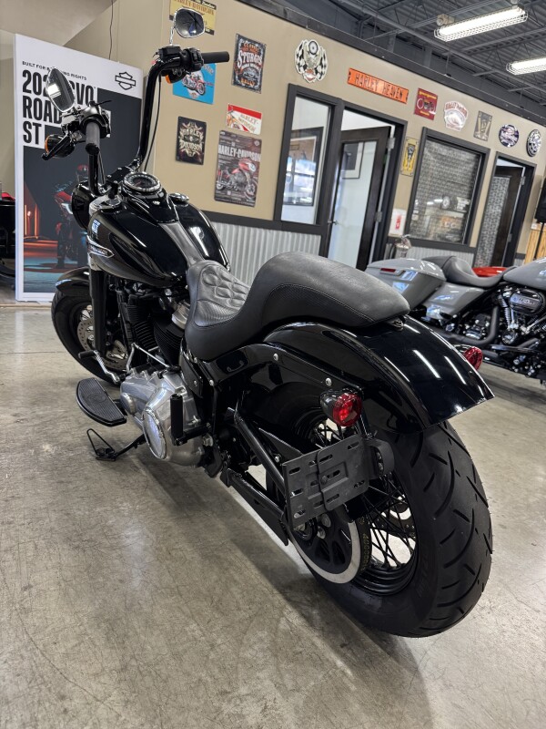 2019 Harley-Davidson Softail Slim FLSL - Photo 8