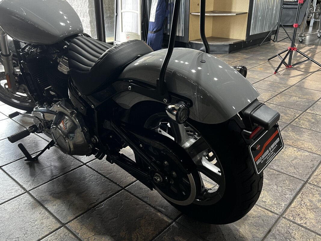FXST 2024 Softail Standard - Photo 8