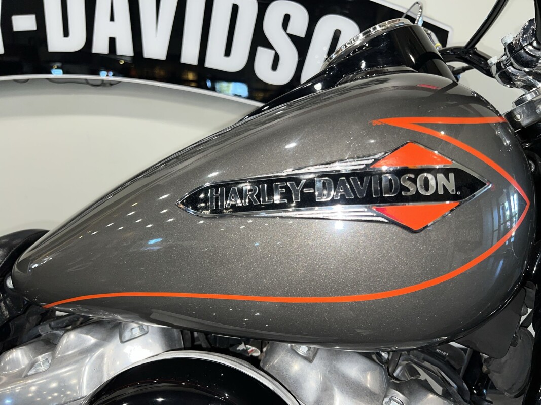 2019 Harley-Davidson Softail Slim FLSL - Photo 5