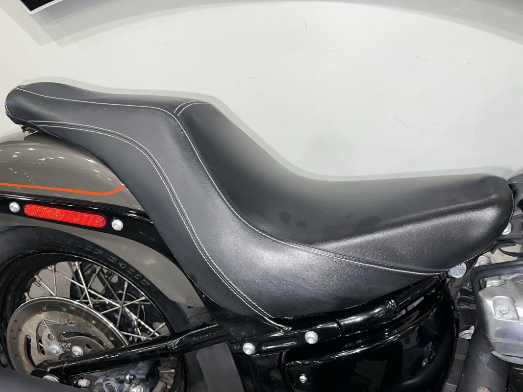 2019 Harley-Davidson Softail Slim FLSL - Photo 6